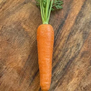Carrot
