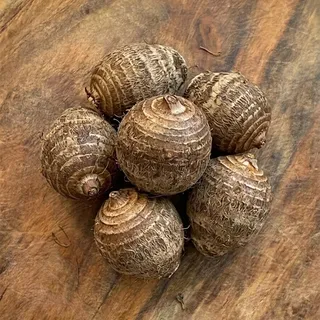 Colocasia (arbi / taro)