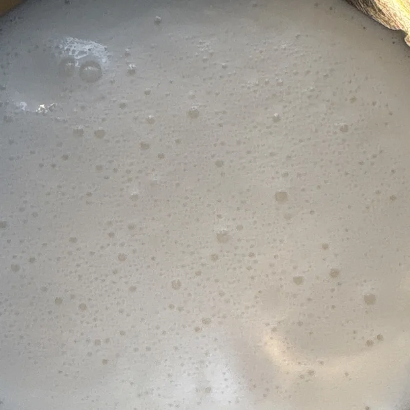 Fresh cream (malai)