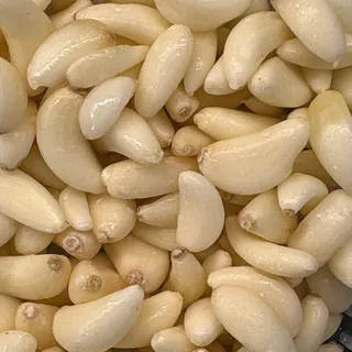 Garlic