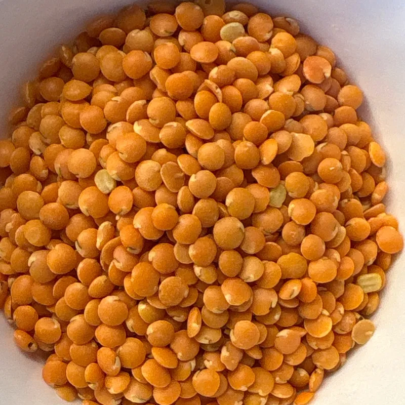 Masoor dal (red lentils)