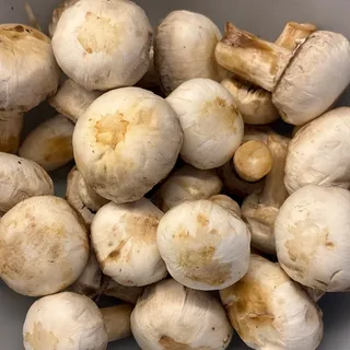 Button mushrooms
