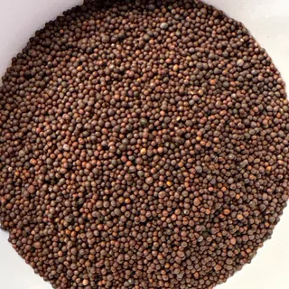 Mustard seeds (rai / sarson)