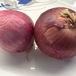 Onion