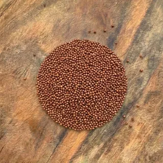 Finger millet (ragi / nachni)